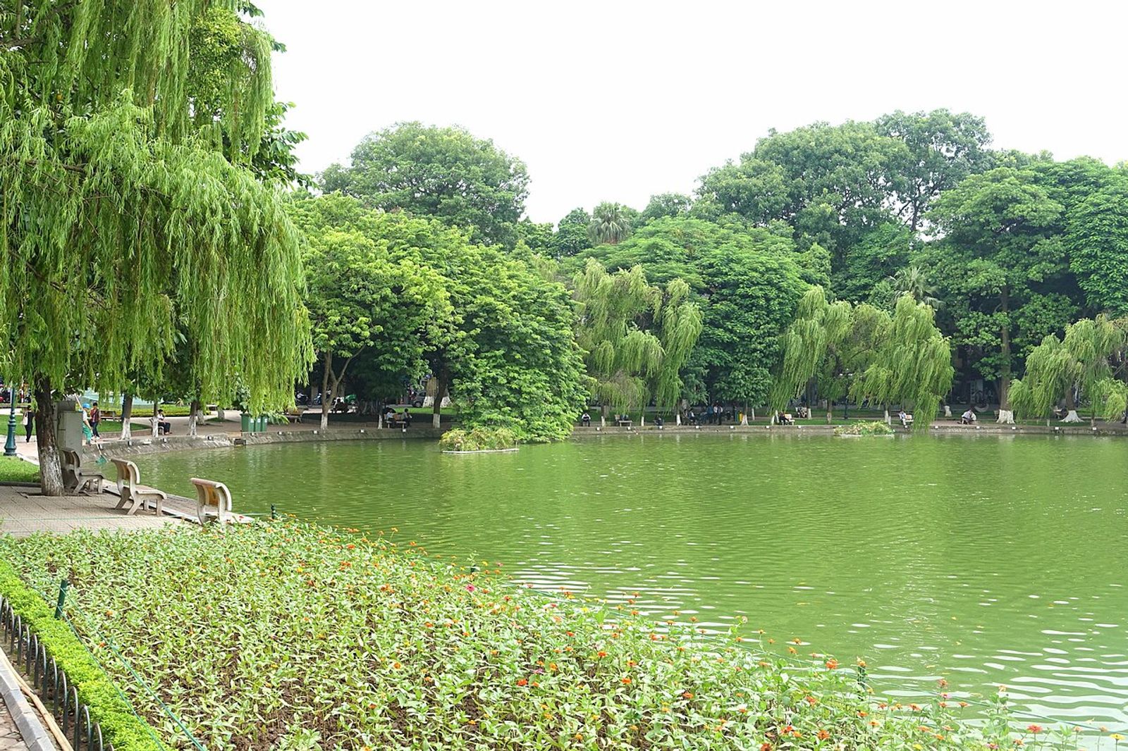 Blog